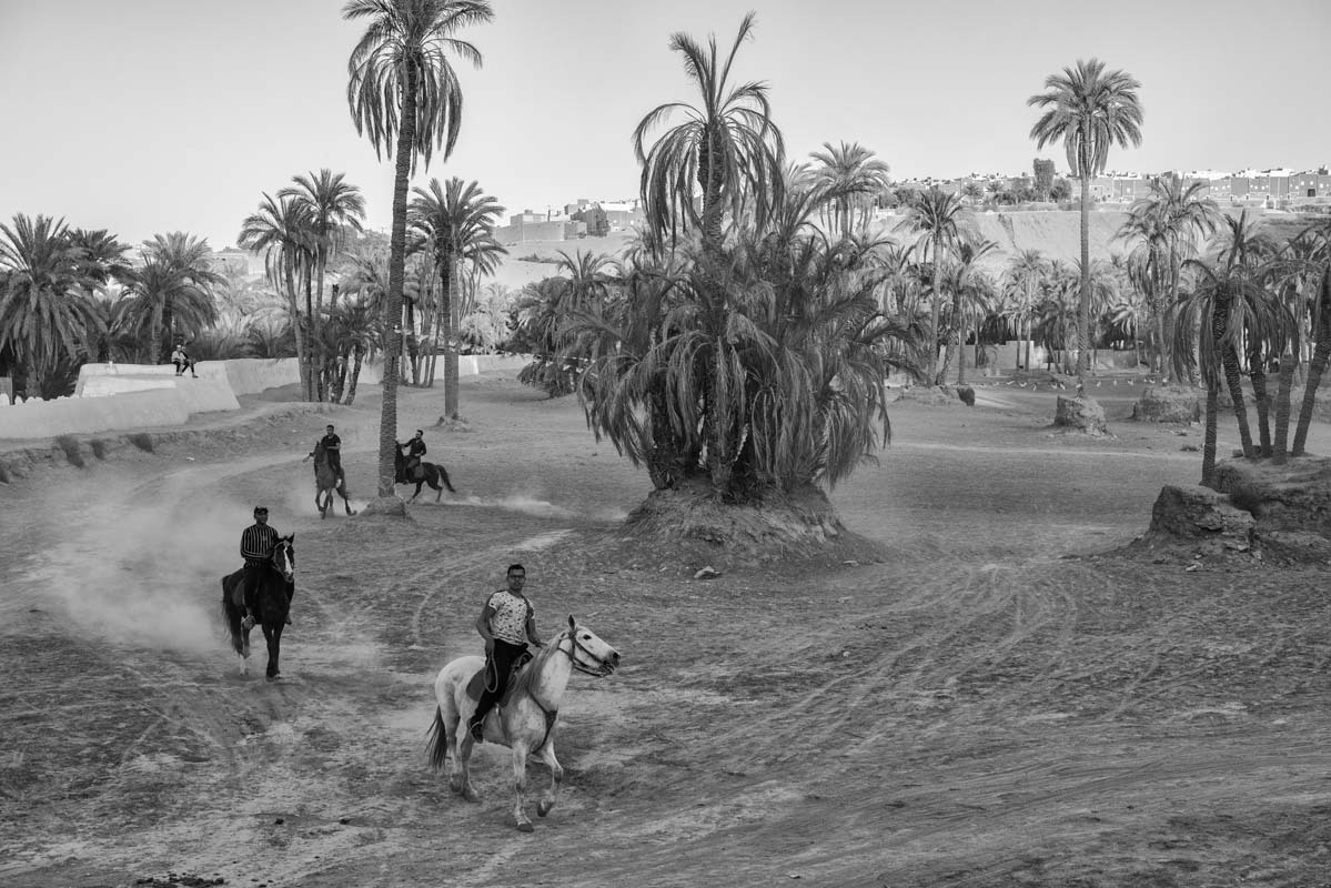 Algeria-340-16.03.23-Ghardaia-oasi