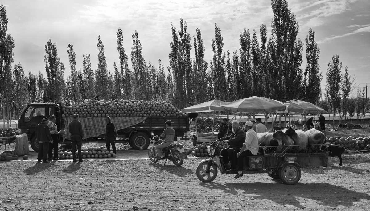 077-1864-18.8.13-china-kashgar-bazaar-bestiame_DSC1864