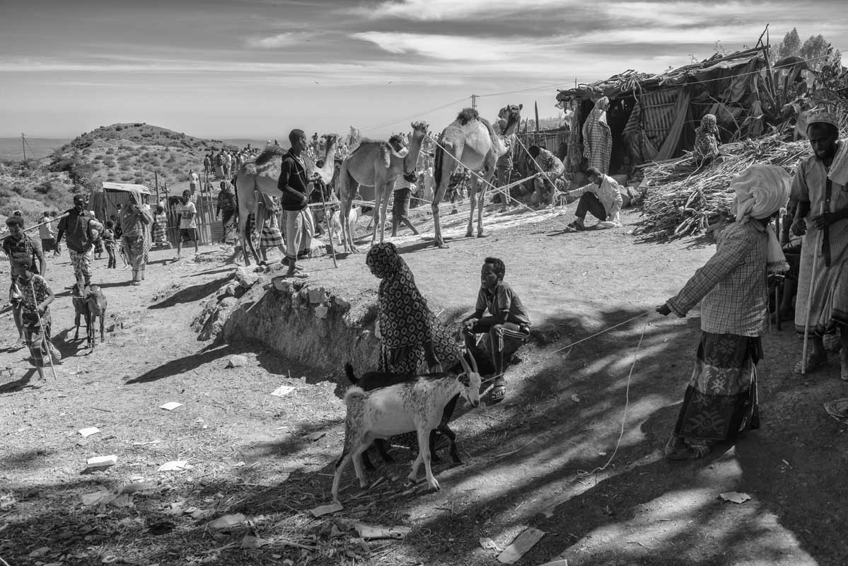 250b-Ethiopia-07.01.19-citta-di-Bati-mercato-del-bestiame-