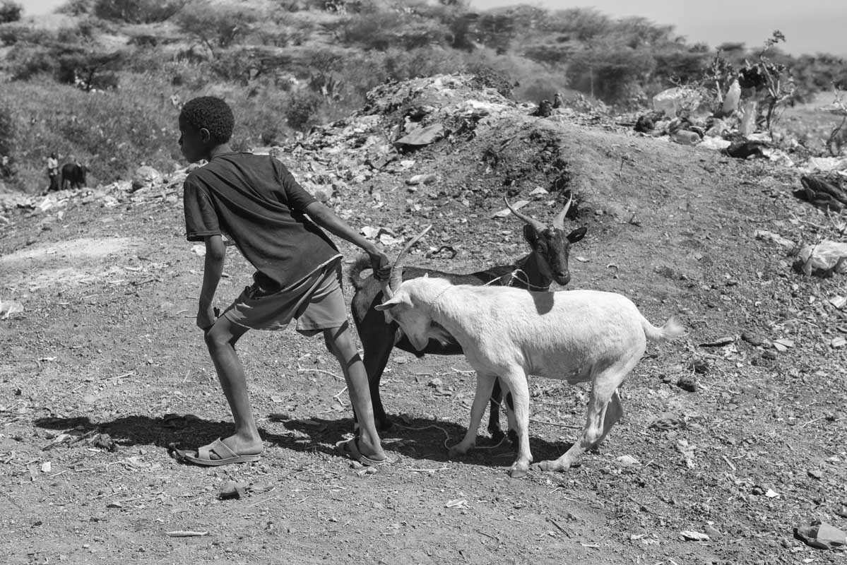 250e-Ethiopia-07.01.19-citta-di-Bati-mercato-del-bestiame-