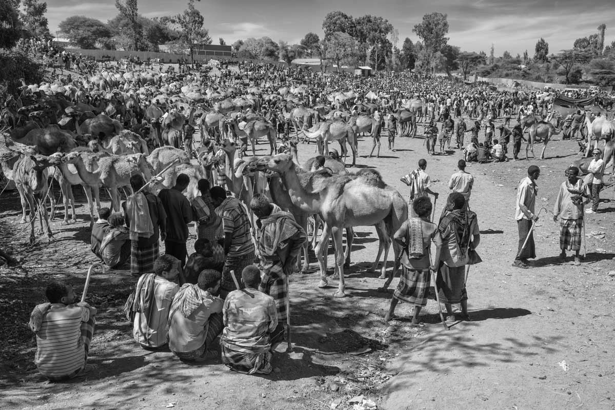 252d-Ethiopia-07.01.19-citta-di-Bati-mercato-del-bestiame-