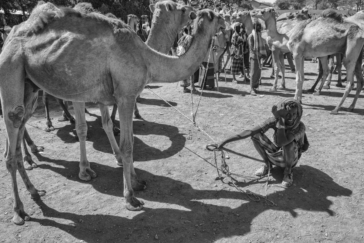 253b-Ethiopia-07.01.19-citta-di-Bati-mercato-del-bestiame-