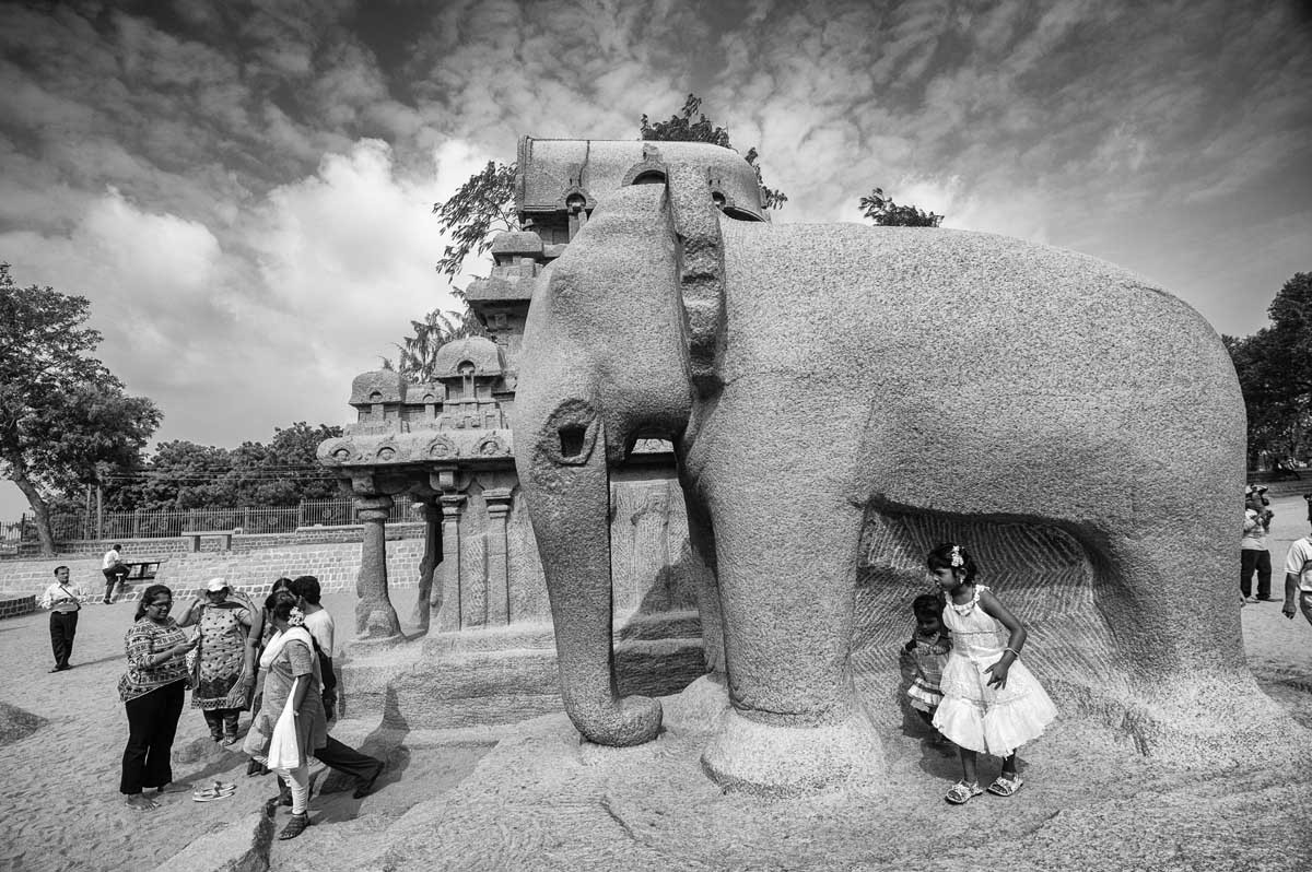 083-9505-tamil-nadu-2013-14-mahalipuram-5-ratha-temple