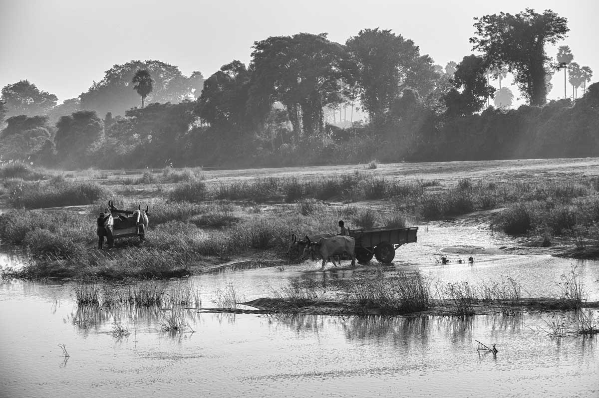 170e-0285-tamil-nadu-2013-14-tejore