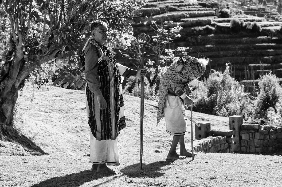 341b-1927-tamil-nadu-2013-14-ooty-botanic-gardens-villaggio-in-alto-rito-al-sole