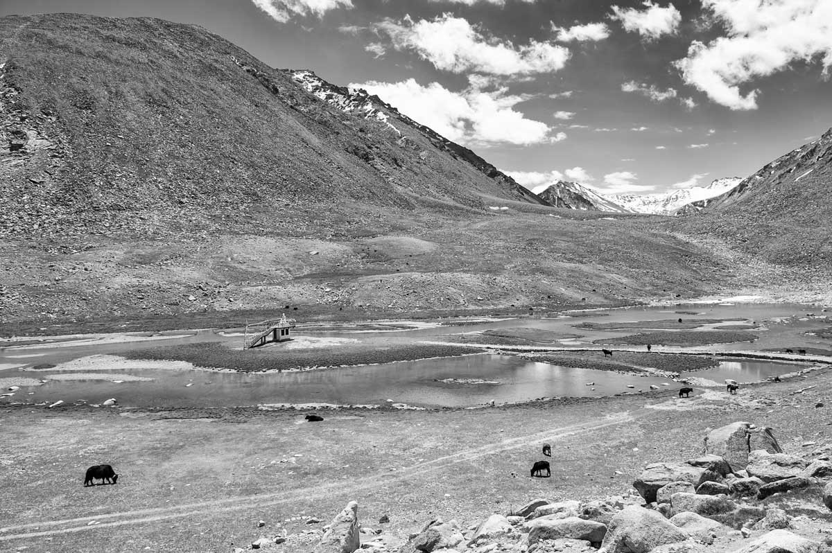 293-6023-ladakh-oltre-il-passo-khardung-la