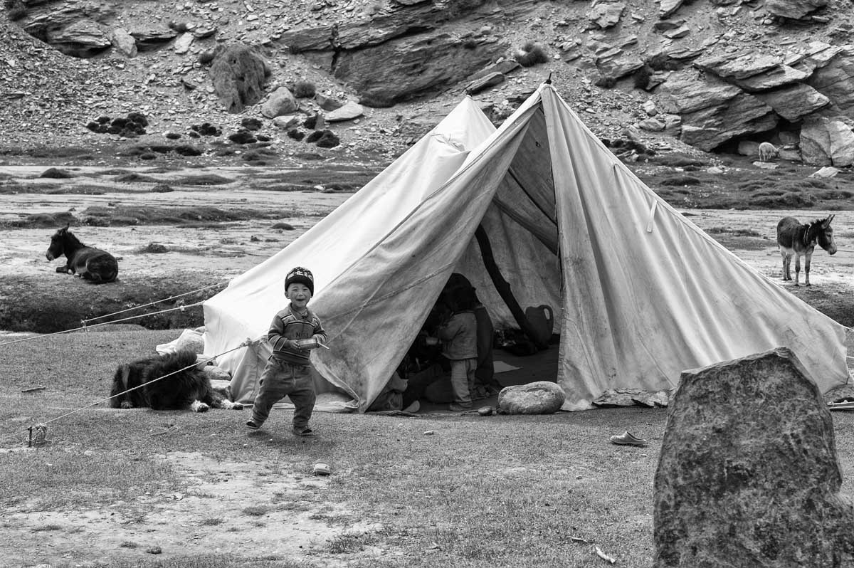 345-6689-ladakh-verso-il-lago-tso-moriri-nomadi