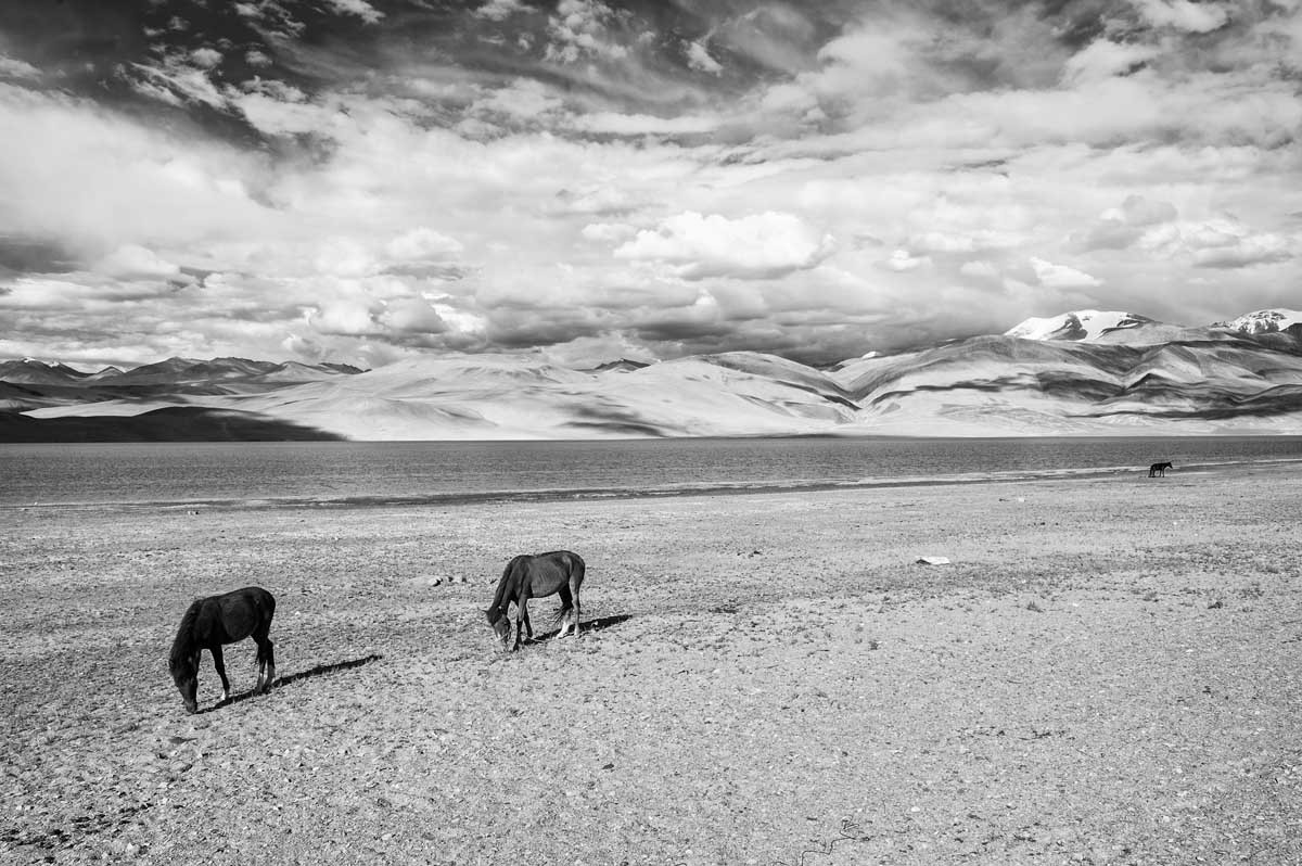 351-6771-ladakh-lago-tso-moriri