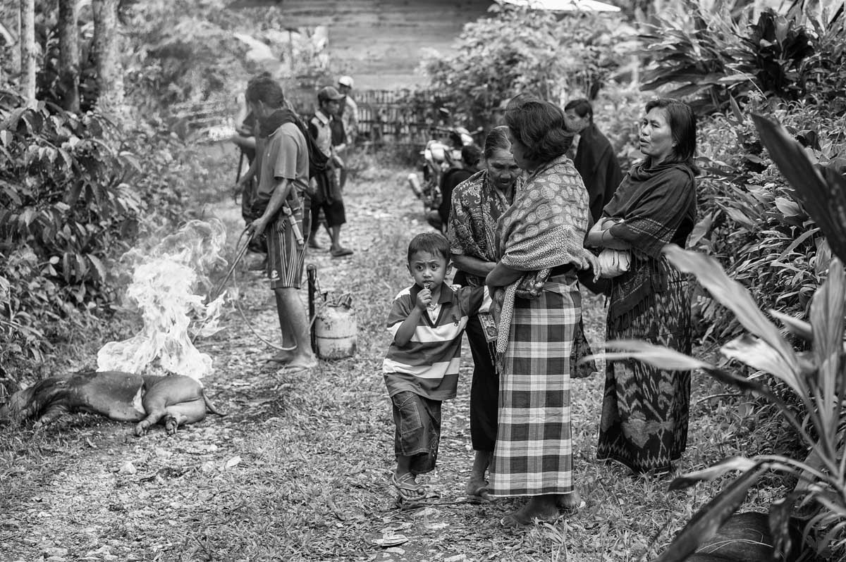 1306-Indonesia-Sulawesi-villaggio-vic.-Sangalla-cerimonia-per-il-funerale-21.08.17