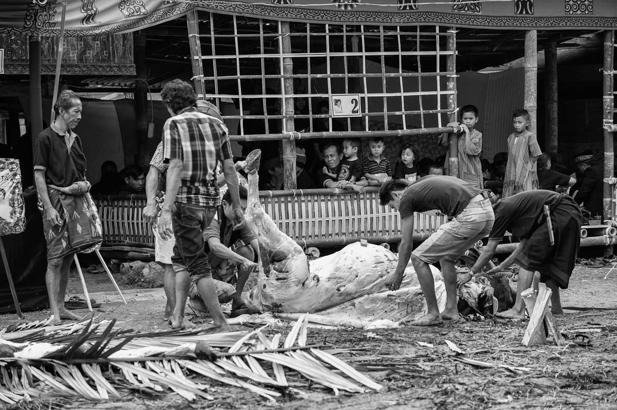 1370c-Indonesia-Sulawesi-villaggio-vic.-Sangalla-cerimonia-per-il-funerale-21.08.17
