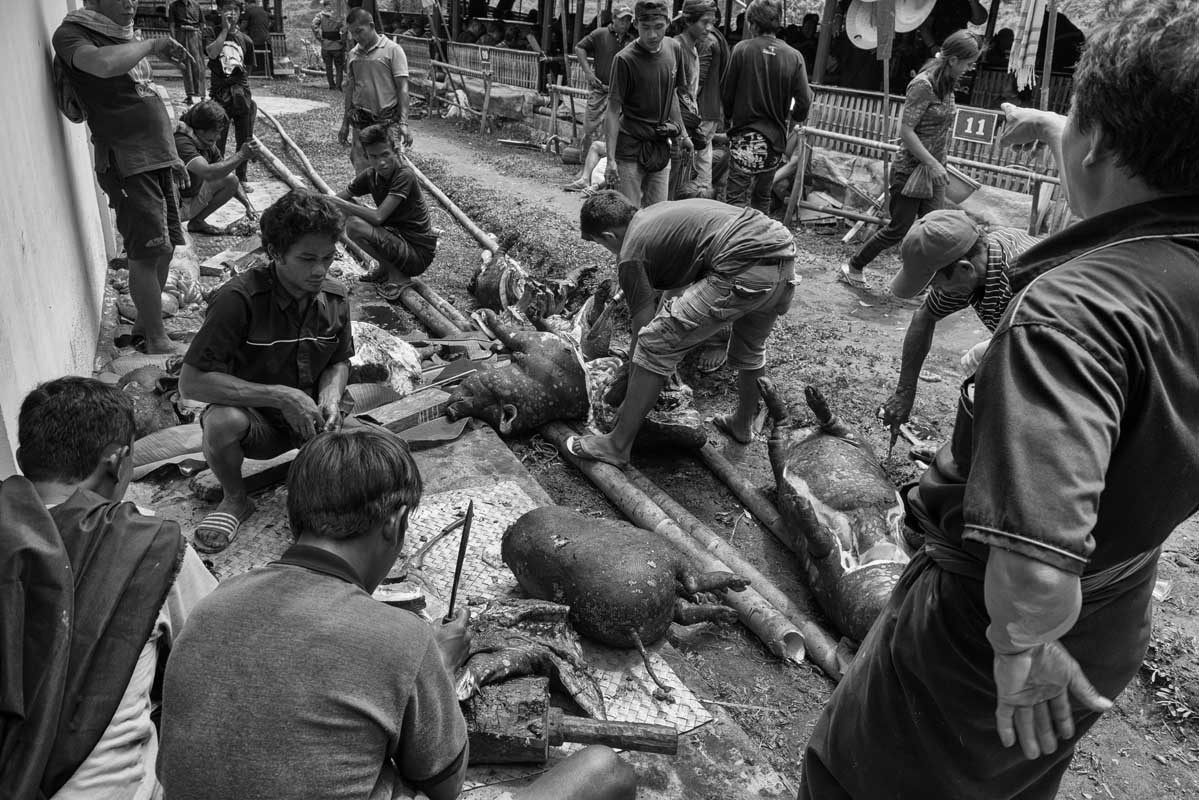 1522-Indonesia-Sulawesi-Toraja-cerimonia-per-un-funerale-a-Dan-Sangatropi-22.08.17