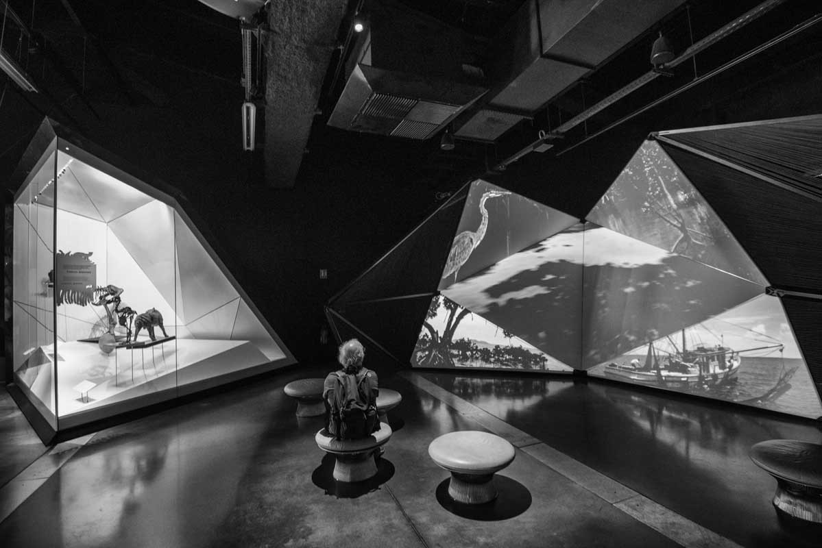 090-Lyon-Musee-des-Confluences-15.6.18