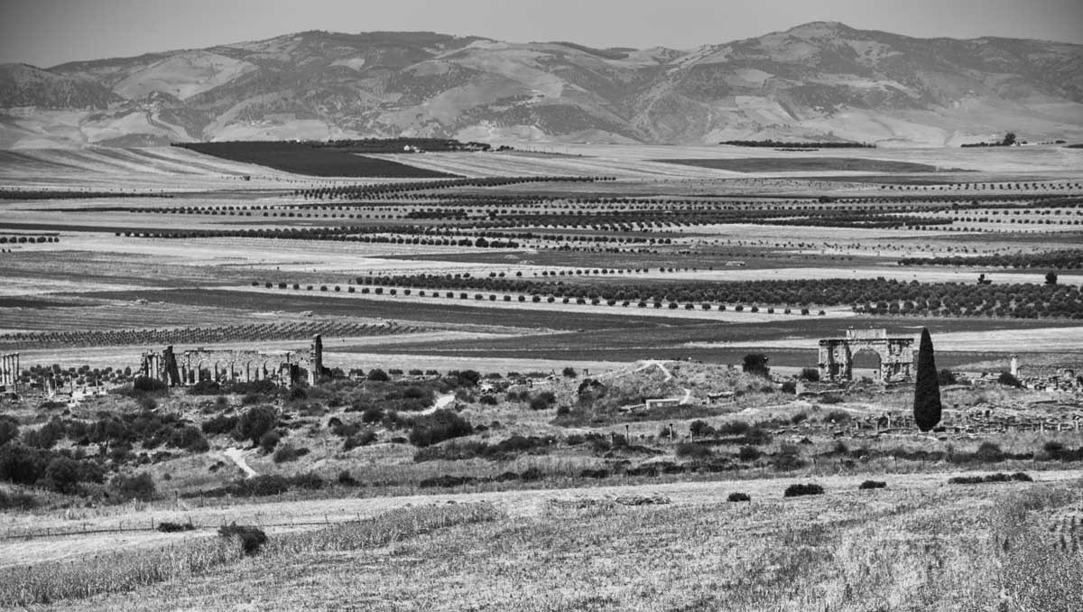 315-0671-26.06.15-marocco-volubilis