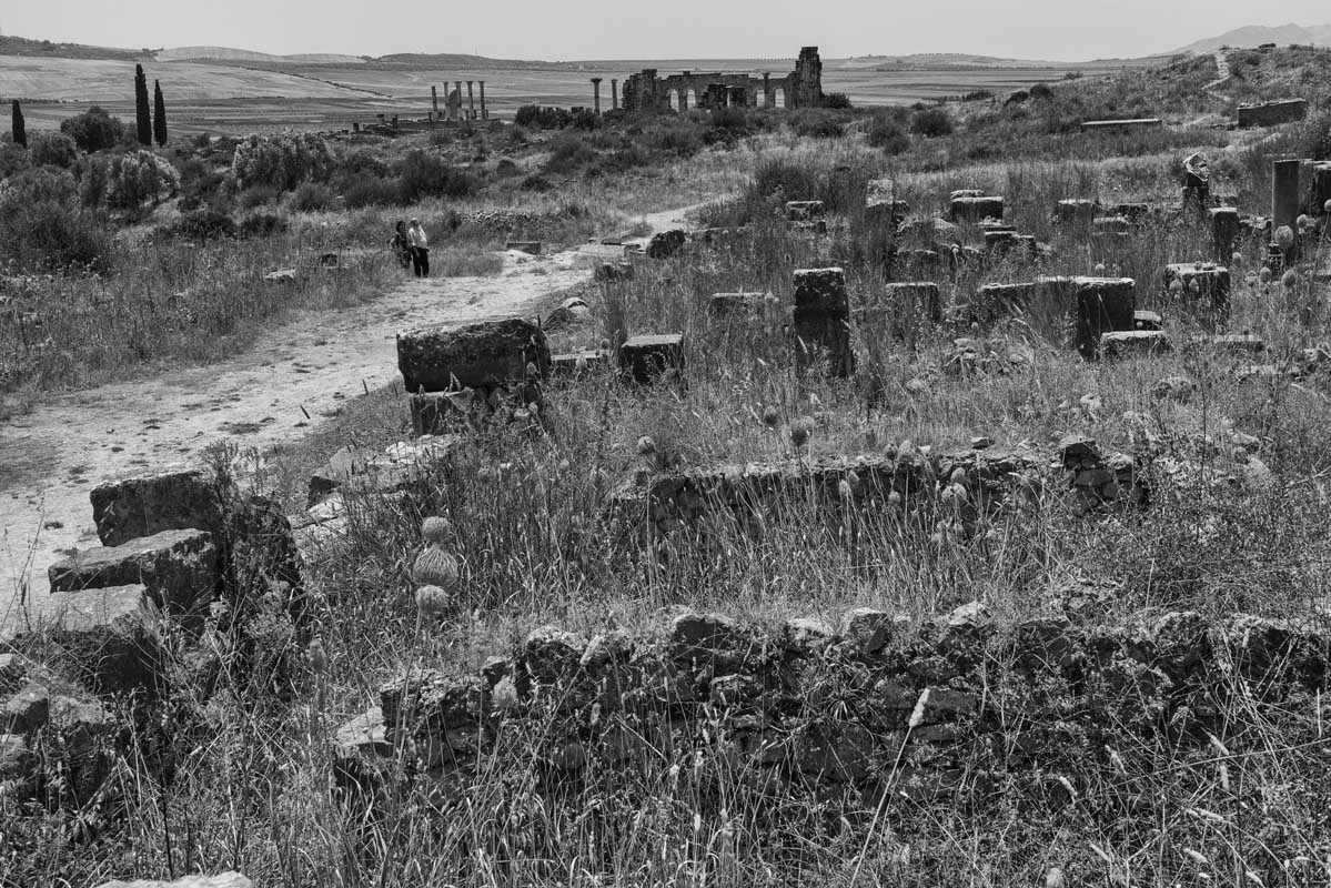 330-0714-26.06.15-marocco-volubilis