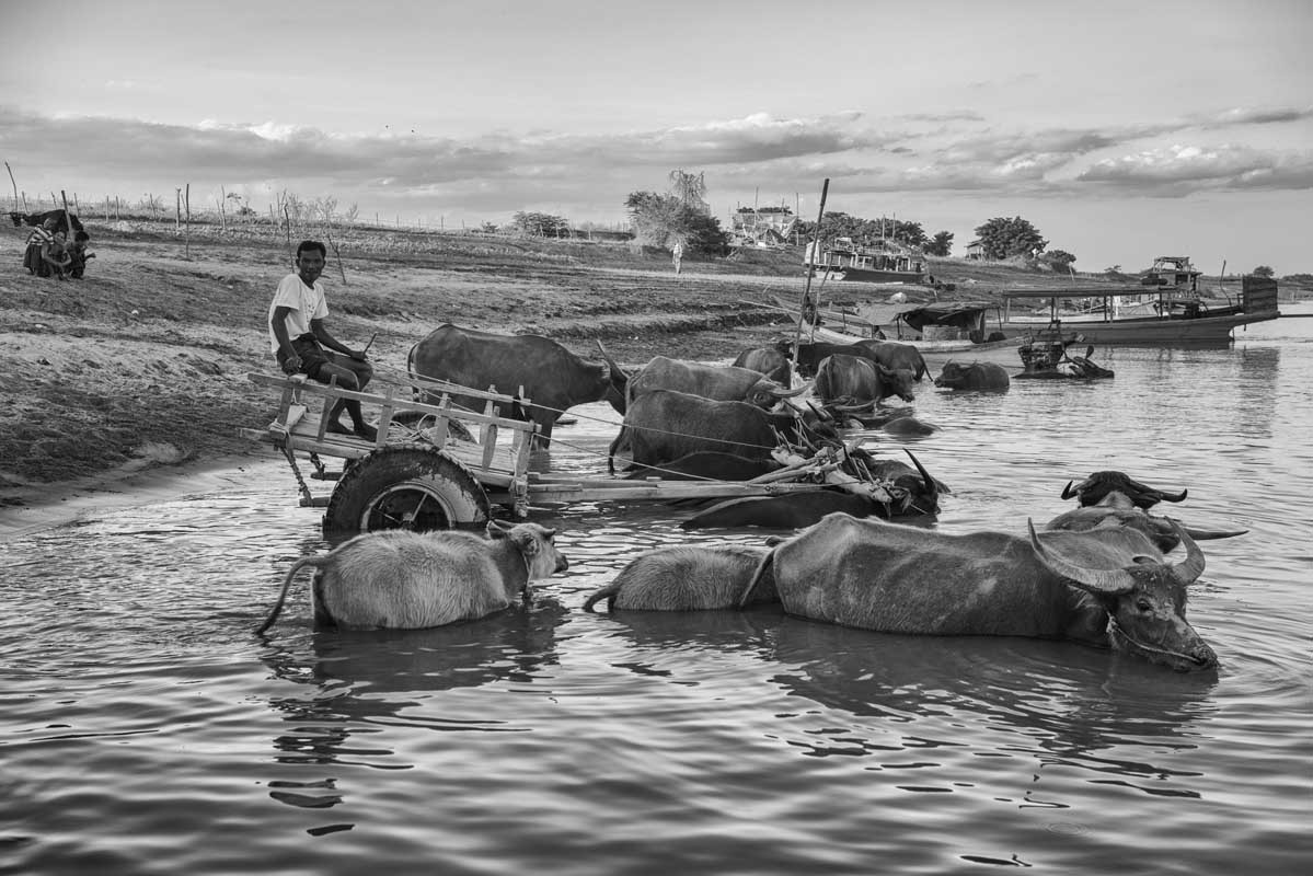 256-Birmania-03.12.18-villaggio-di-Pannyo-sul-fiume-Irrawaddy