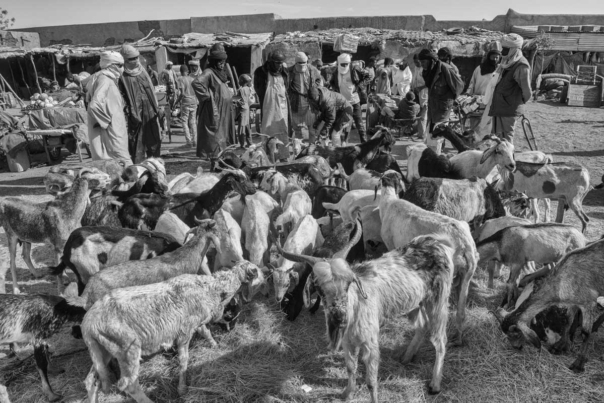 034b-Niger-23.2.2020-Agadez-il-mercato-del-bestiame