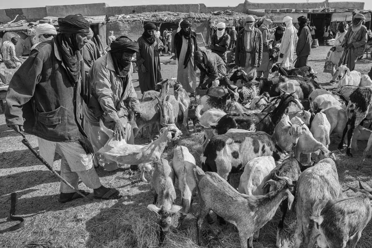 034f-Niger-23.2.2020-Agadez-il-mercato-del-bestiame