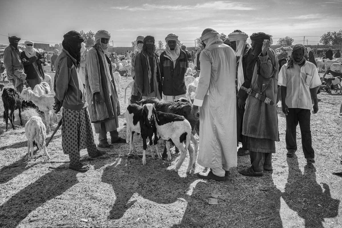 035f-Niger-23.2.2020-Agadez-il-mercato-del-bestiame