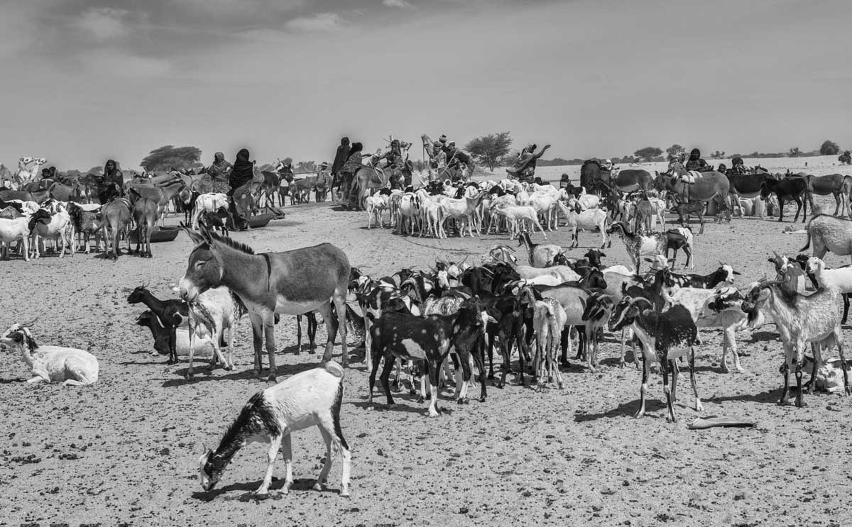 221b-Niger-22.2.2020-deserto-del-Tenere-pista-per-Agadez-pozzo-per-i-villaggi-dei-nomadi-di-In-Tamat