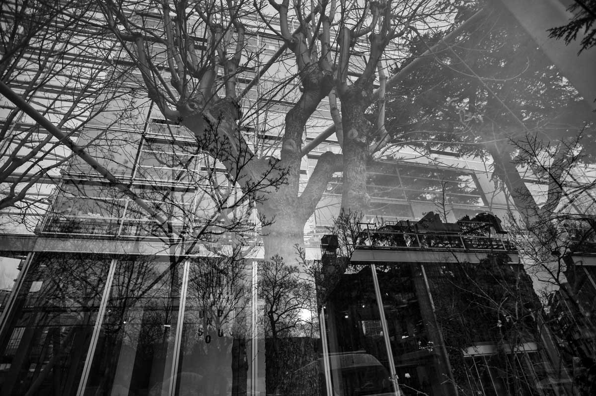 -9870-paris-fondation-cartier